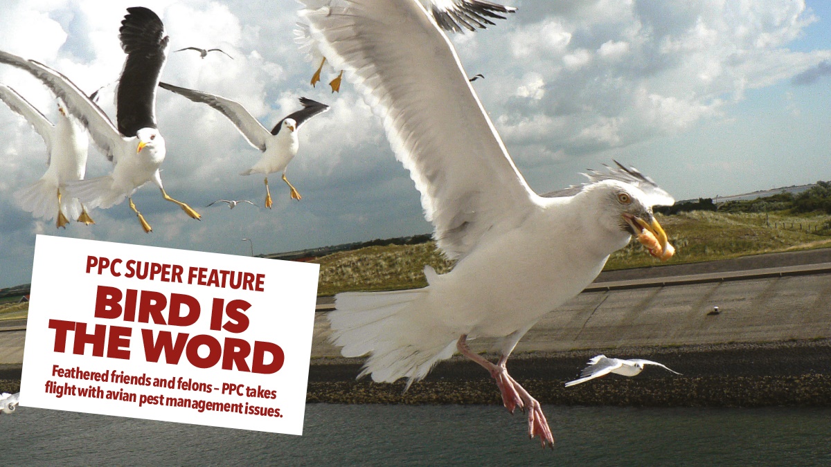 View the latest issue View the latest issue